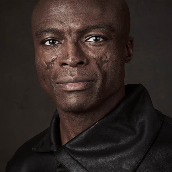 artiste_seal
