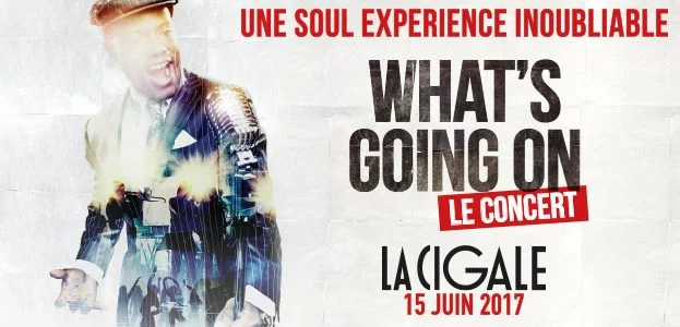 cigale-whatsgoingon whatsgoingon